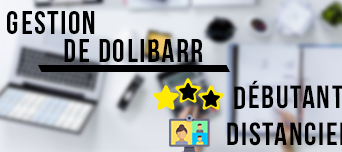 Gestion de Dolibarr : Niveau Débutant – Distanciel