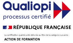 Logo certification Qualiopi Inovea Conseil